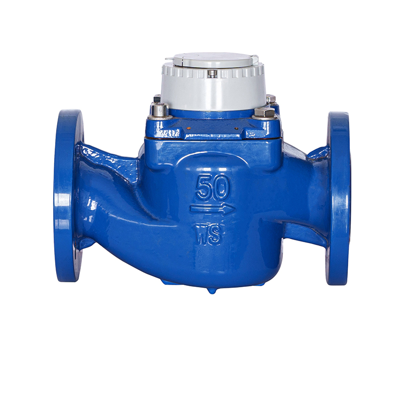 WS-DN40-DN200 มิเตอร์น้ำที่ถอดออกได้ปีกเกลียวแนวตั้งความแม่นยำสูง