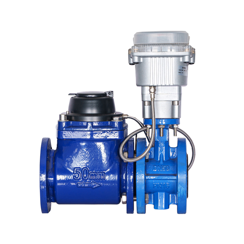 WPH DN50-DN200 มิเตอร์น้ำควบคุมด้วยวาล์วปีกสกรูแนวนอนแบบถอดได้ (พร้อมวาล์วแบบซ้อน)