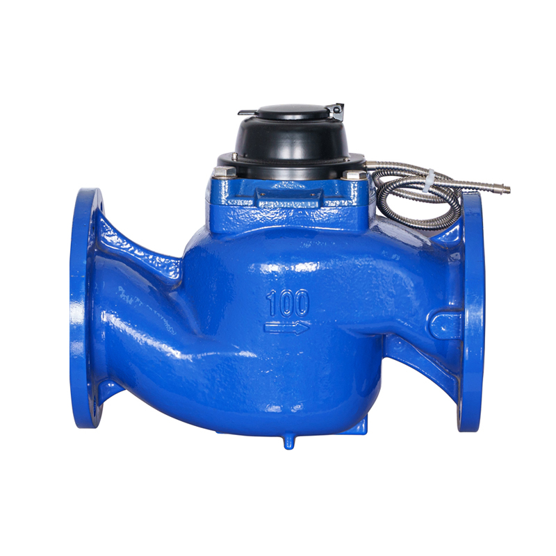 WS-DN40-DN200 สกรูแนวตั้งที่มีความแม่นยำสูงปีกที่ถอดออกได้โฟโตอิเล็กทริคอ่านค่าน้ำโดยตรง