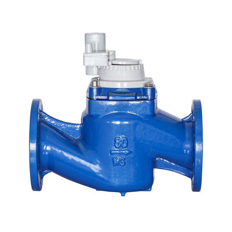 WS-DN40-DN200 มิเตอร์น้ำแบบสกรูแนวตั้งที่มีความแม่นยำสูงที่ถอดออกได้แบบไม่มีแม่เหล็ก