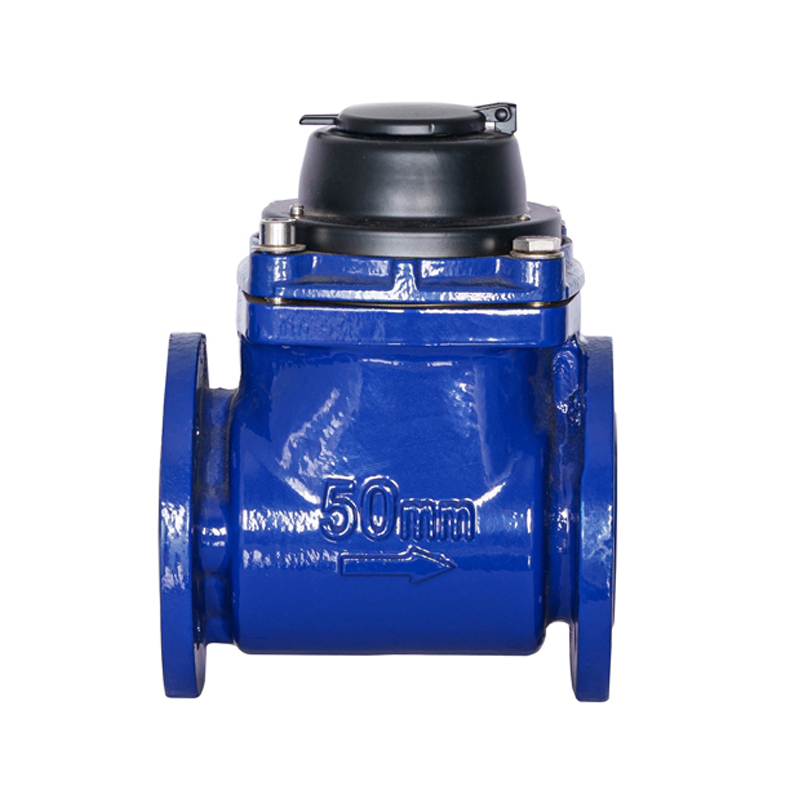 WPH DN50-DN200 มิเตอร์น้ำปีกเกลียวแนวนอนที่ถอดออกได้