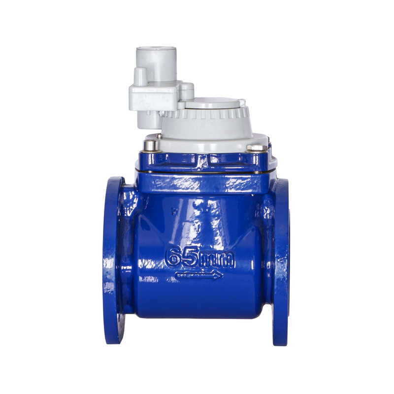 WPH DN50-DN200 มิเตอร์น้ำแบบสกรูที่ถอดออกได้ในแนวนอนแบบไม่มีแม่เหล็ก